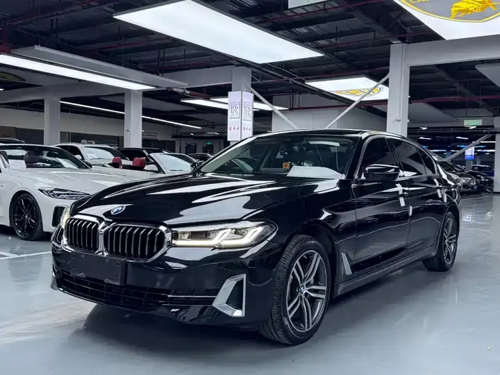 BMW 5 Series 2023 530Li Leading Luxury Suit - View 1