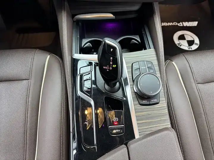 BMW 5 Series 2023 530Li Leading Luxury Suit 10