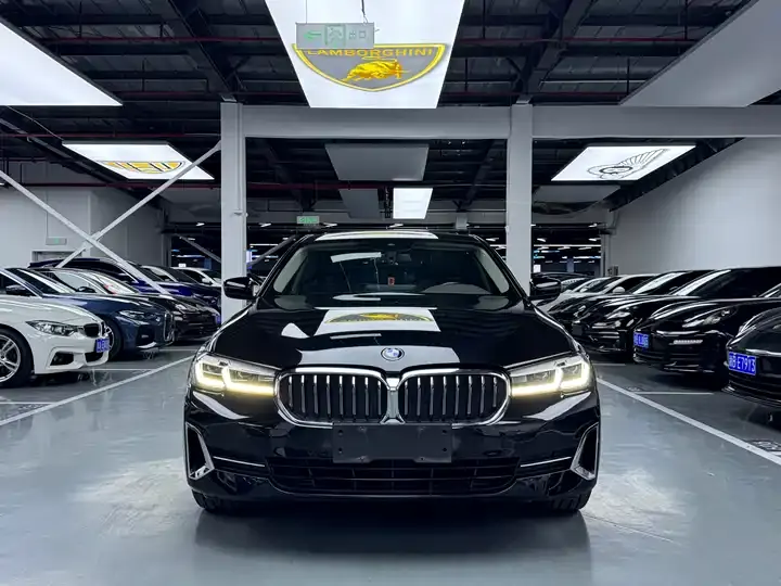 BMW 5 Series 2023 530Li Leading Luxury Suit 2