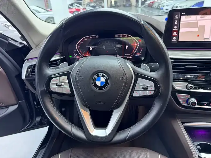 BMW 5 Series 2023 530Li Leading Luxury Suit 8