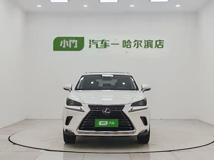 Lexus NX 2020 300h Precursor Front Edition Country VI 2