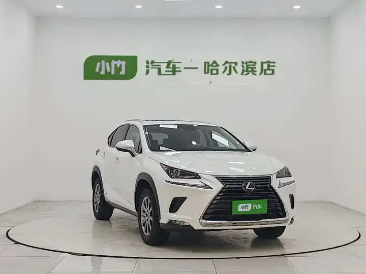 Lexus NX 2020 300h Precursor Front Edition Country VI 3