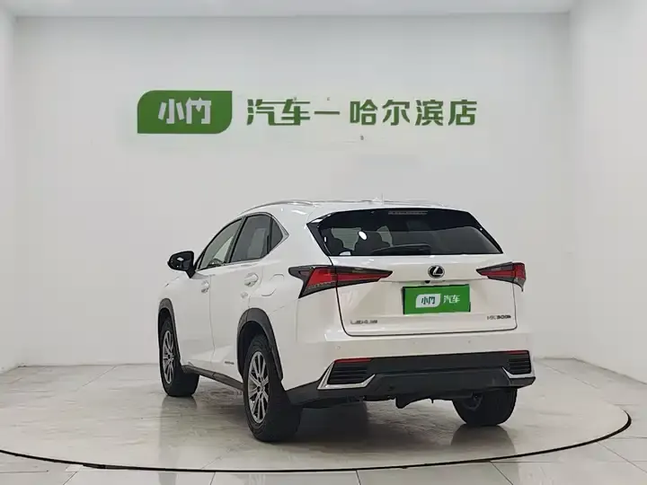 Lexus NX 2020 300h Precursor Front Edition Country VI 4