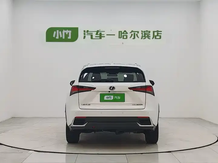 Lexus NX 2020 300h Precursor Front Edition Country VI 6