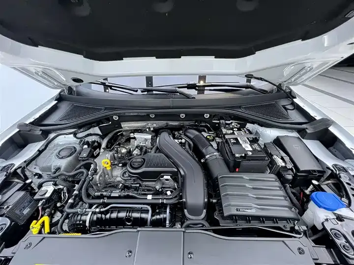 T-ROC Tange 2024 300TSI DSG Two-Drive Chen Guang Edition 8