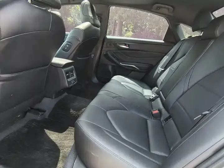 Asian Dragon 2023 2.0L Deluxe Edition 6