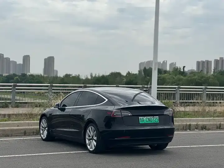 Model 3 2020 Standard Endurance Rear Drive Upgrade 10