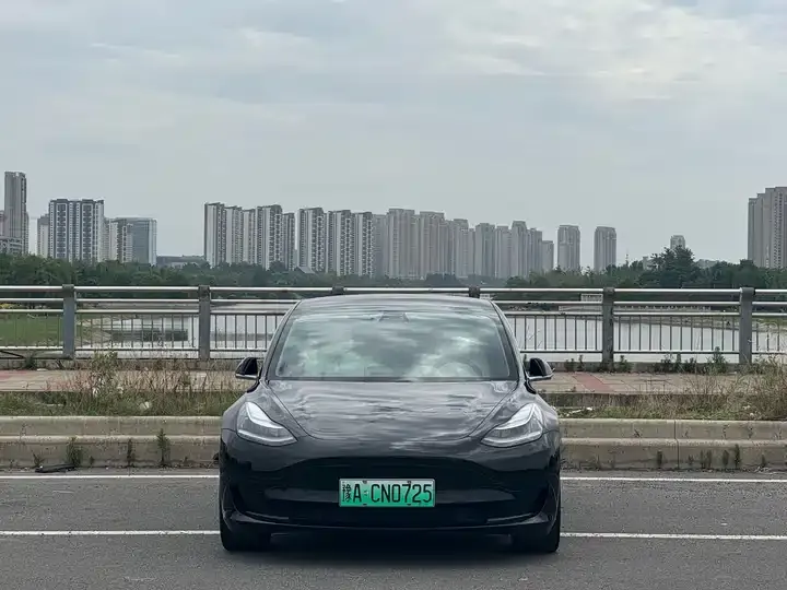 Model 3 2020 Standard Endurance Rear Drive Upgrade 2