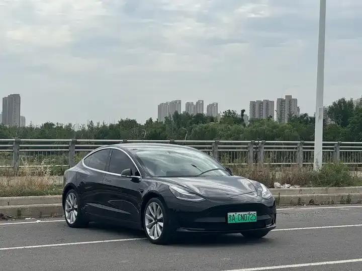 Model 3 2020 Standard Endurance Rear Drive Upgrade 3