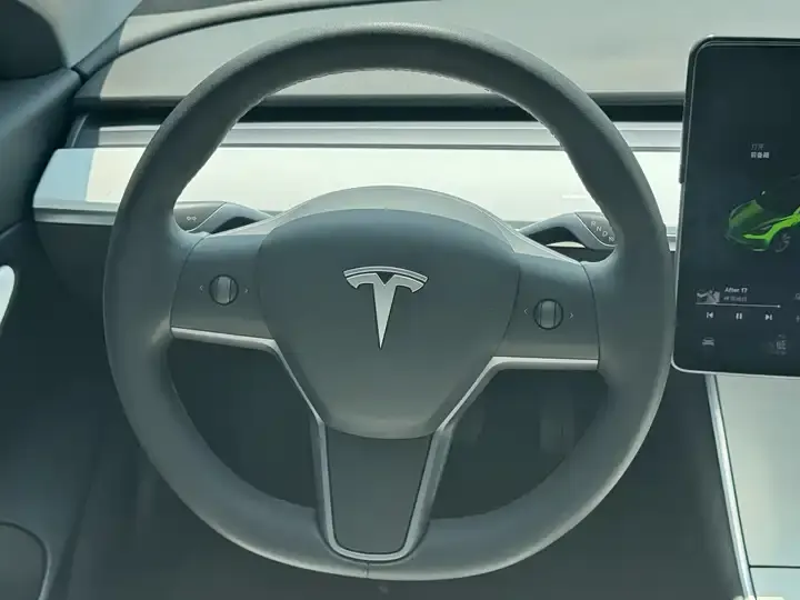 Model 3 2020 Standard Endurance Rear Drive Upgrade 5