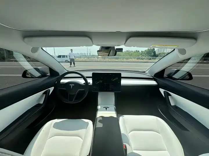Model 3 2020 Standard Endurance Rear Drive Upgrade 7