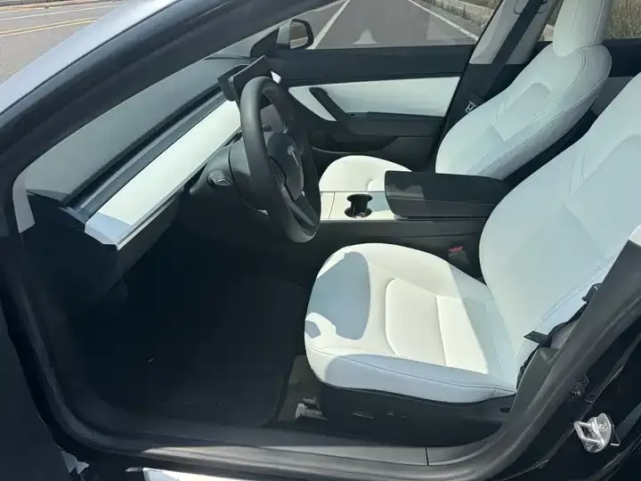 Model 3 2020 Standard Endurance Rear Drive Upgrade 8