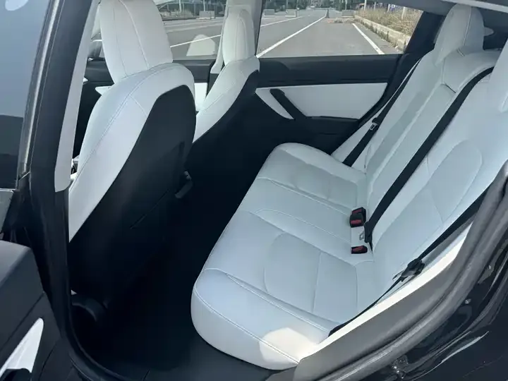 Model 3 2020 Standard Endurance Rear Drive Upgrade 9