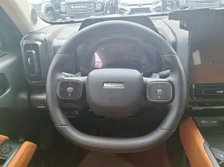 Haval Raptors Fuel 2025 2.0T 4WD Ultra 10