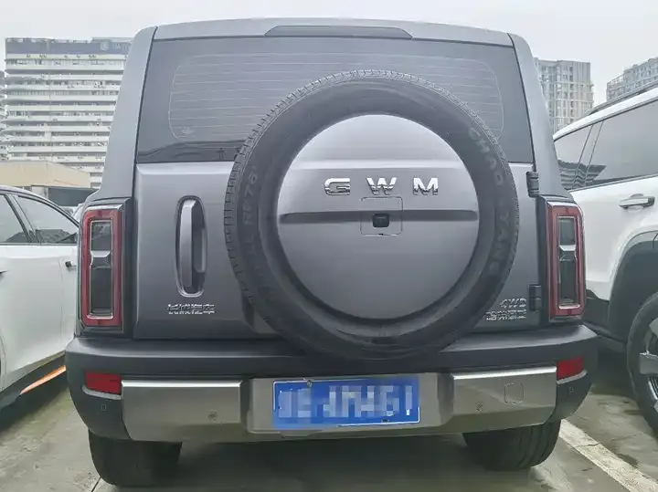 Haval Raptors Fuel 2025 2.0T 4WD Ultra 12