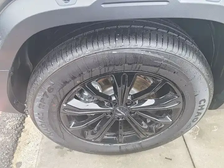 Haval Raptors Fuel 2025 2.0T 4WD Ultra 4