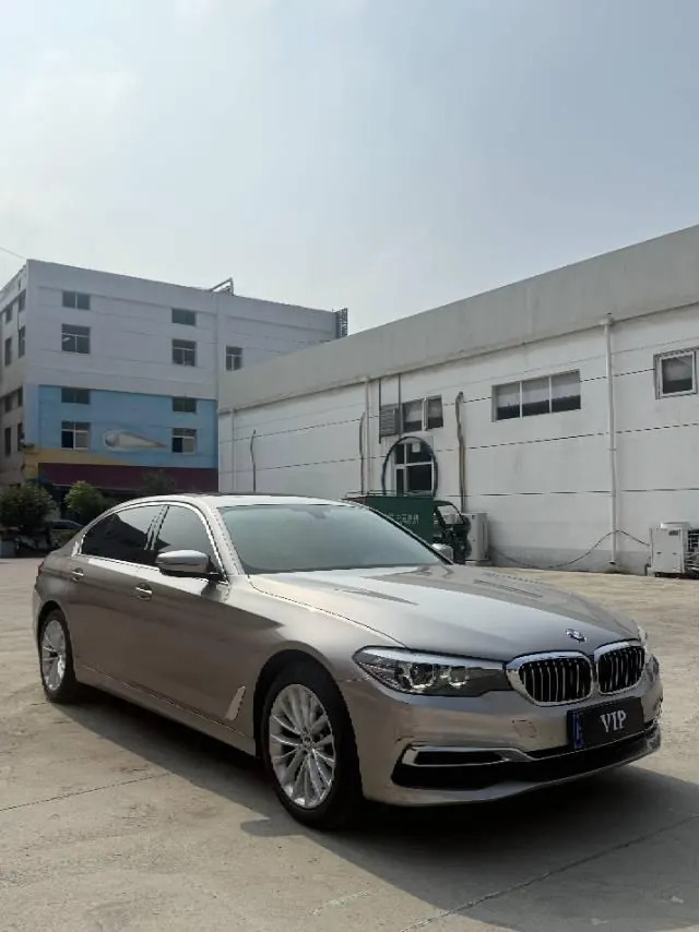 BMW 5 Series 2020 525Li 2.0T Luxury Suit Automatic Gear 3