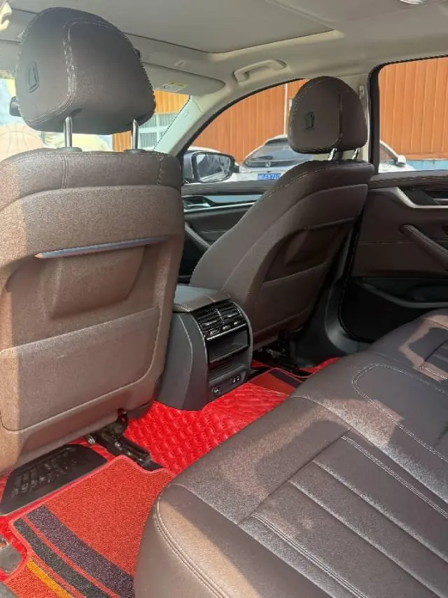 BMW 5 Series 2020 525Li 2.0T Luxury Suit Automatic Gear 5