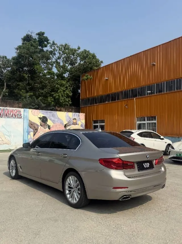 BMW 5 Series 2020 525Li 2.0T Luxury Suit Automatic Gear 9