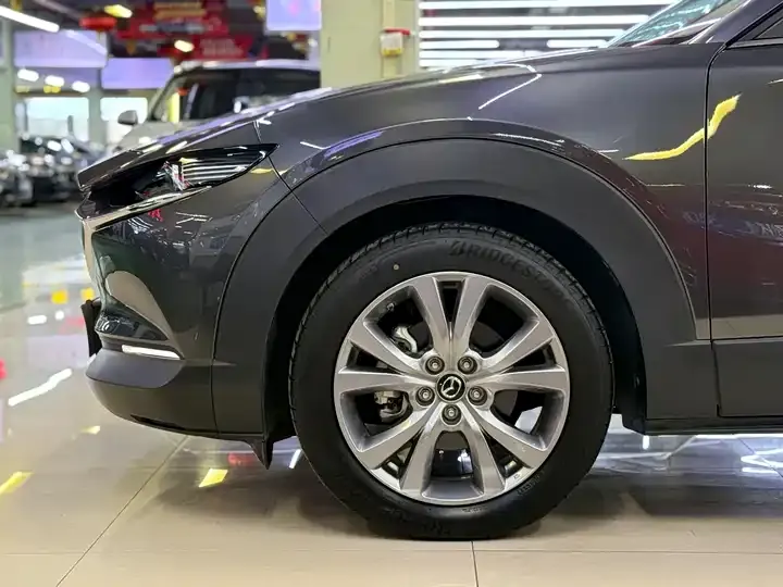 Mazda CX-30 2024 2.0L Auto Jiayue 6
