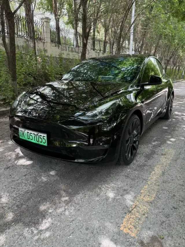 Tesla 2022 Model Y Performance high-performance all-wheel drive version (facelift) automatic gear - View 1