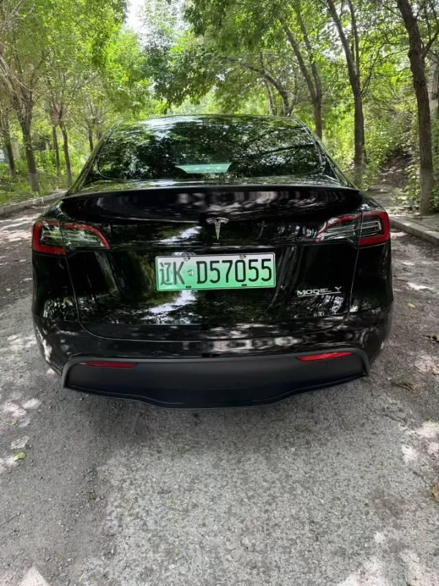 Tesla 2022 Model Y Performance high-performance all-wheel drive version (facelift) automatic gear 4