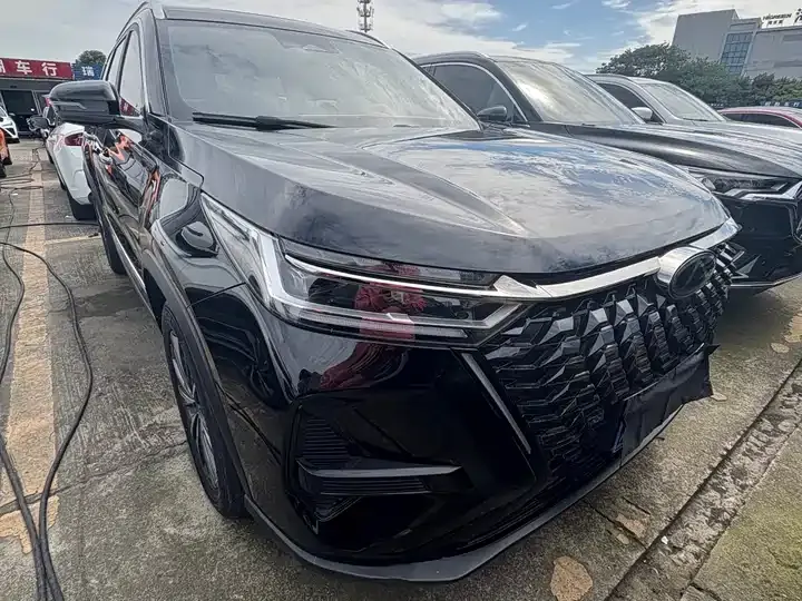 Ruihu 8 PRO 2024 Champion Edition 290T Two-Drive Highlight Edition 7 2