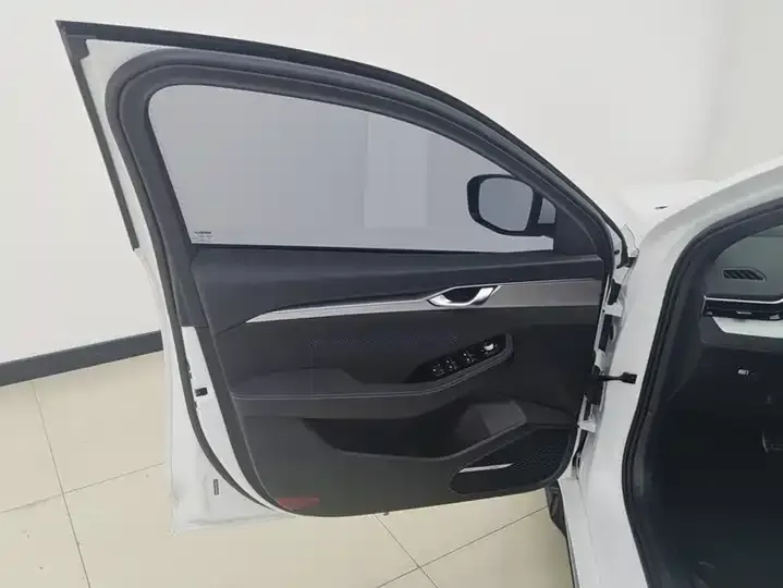 Xingrui 2025 Oriental Obsidian 2.0TD Star Edition 7