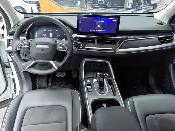 Haval H6 2023 National Tide Edition 1.5T Auto Champion Edition 6