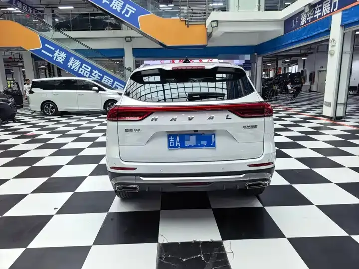 Haval H6 2023 National Tide Edition 1.5T Auto Champion Edition 8