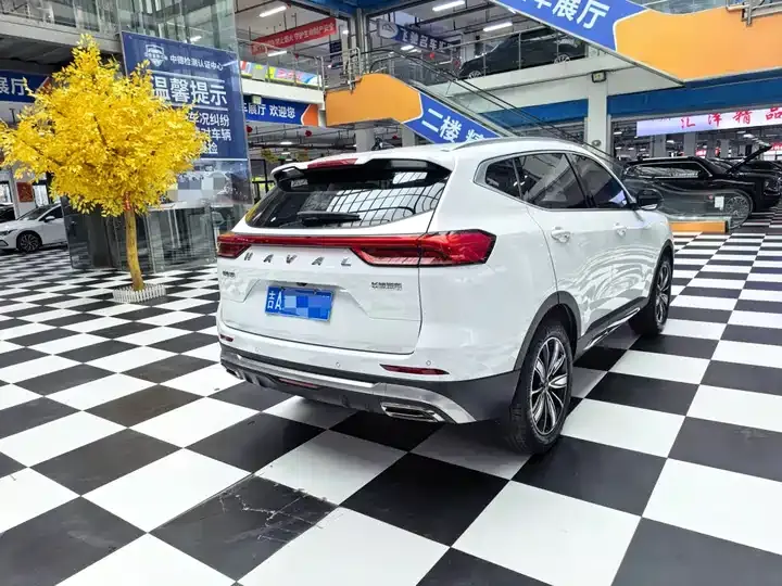 Haval H6 2023 National Tide Edition 1.5T Auto Champion Edition 9