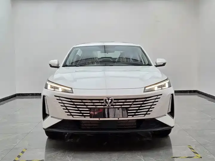 Yidong PHEV 2025 Smart New Blue Whale 145KM High Energy Edition 2