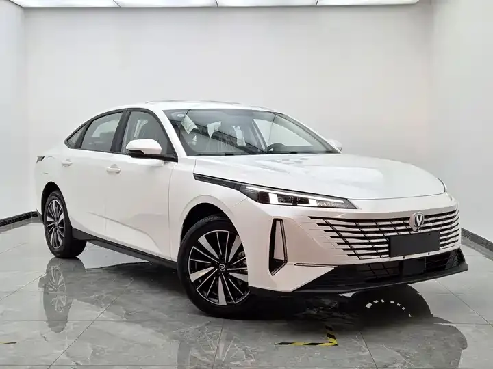 Yidong PHEV 2025 Smart New Blue Whale 145KM High Energy Edition 3