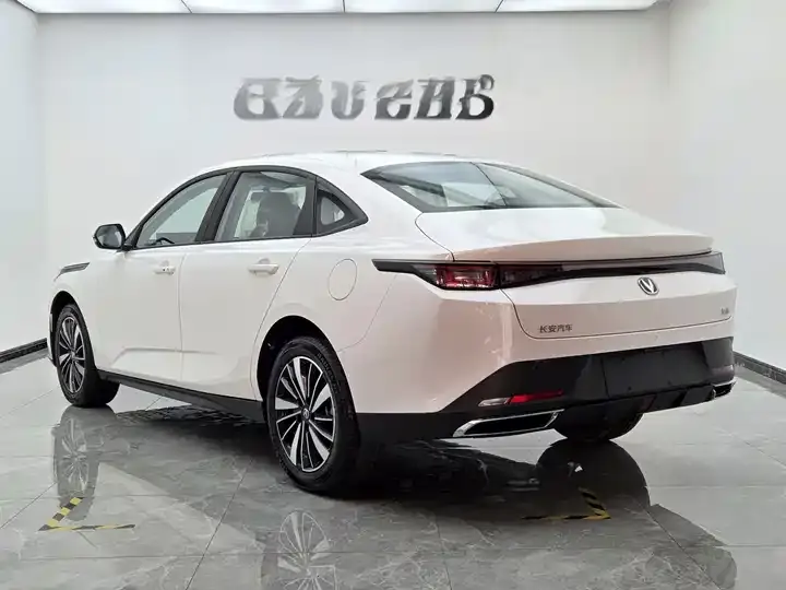 Yidong PHEV 2025 Smart New Blue Whale 145KM High Energy Edition 4