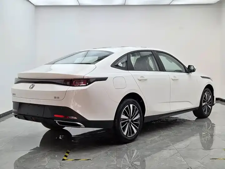 Yidong PHEV 2025 Smart New Blue Whale 145KM High Energy Edition 6