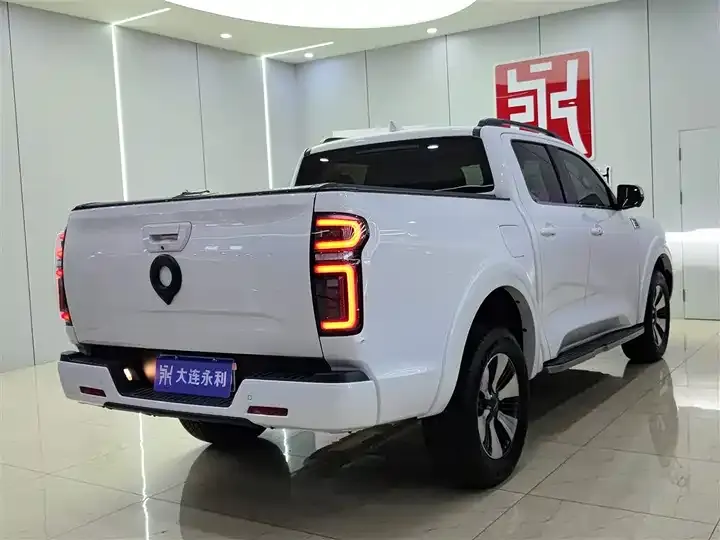 Gun 2021 2.0T Passenger Global Edition Automatic Diesel Four-wheel Drive Sports Case GW4D20M 4