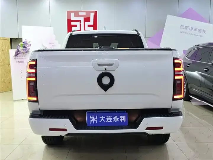 Gun 2021 2.0T Passenger Global Edition Automatic Diesel Four-wheel Drive Sports Case GW4D20M 5