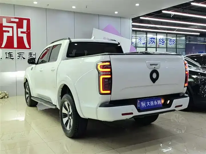 Gun 2021 2.0T Passenger Global Edition Automatic Diesel Four-wheel Drive Sports Case GW4D20M 6