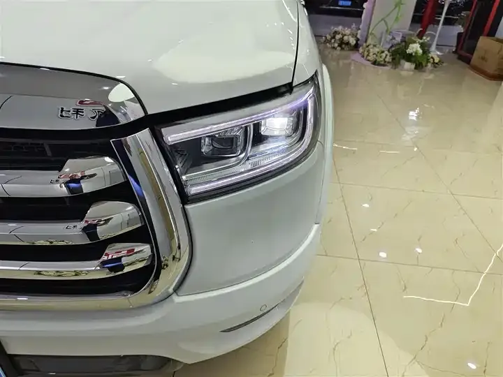 Gun 2021 2.0T Passenger Global Edition Automatic Diesel Four-wheel Drive Sports Case GW4D20M 8