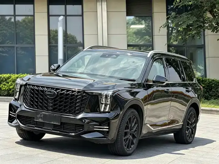 Chuanqi GS8 2024 Pilot Series 2.0TGDI 4-wheel Drive Deluxe Zhilian Edition 7 Seat - View 1