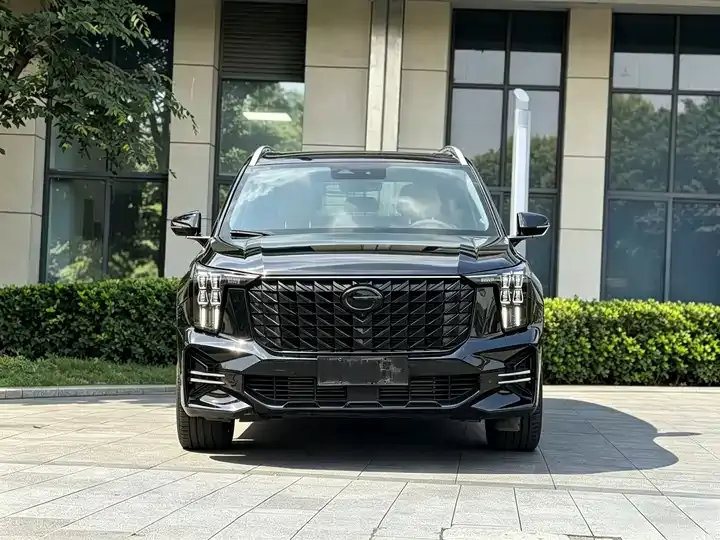 Chuanqi GS8 2024 Pilot Series 2.0TGDI 4-wheel Drive Deluxe Zhilian Edition 7 Seat 2