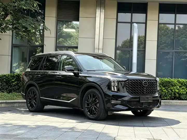 Chuanqi GS8 2024 Pilot Series 2.0TGDI 4-wheel Drive Deluxe Zhilian Edition 7 Seat 3