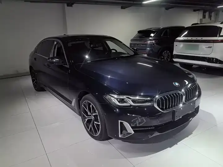 BMW 5 Series 2023 530Li Leading Luxury Suit 4