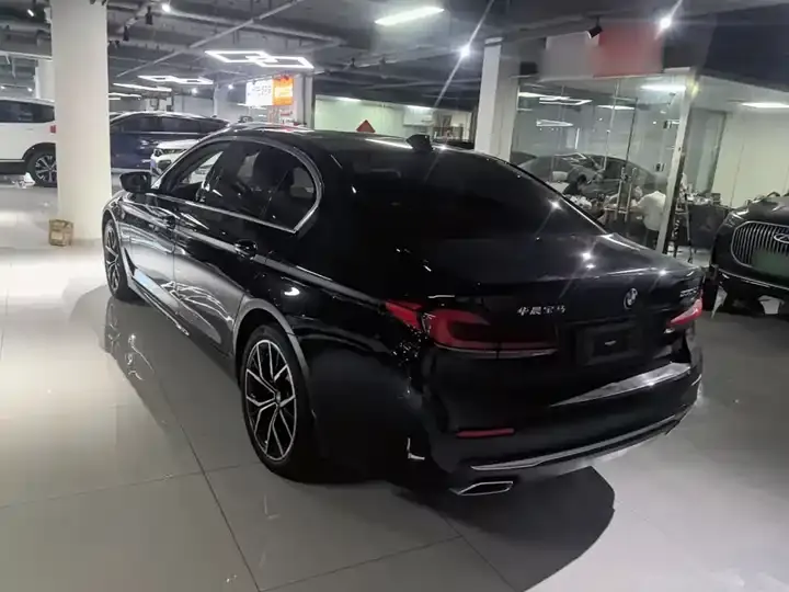BMW 5 Series 2023 530Li Leading Luxury Suit 5