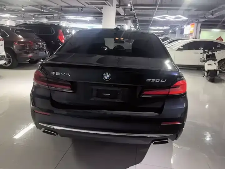 BMW 5 Series 2023 530Li Leading Luxury Suit 6