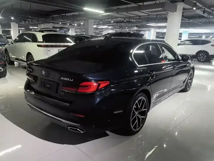 BMW 5 Series 2023 530Li Leading Luxury Suit 7