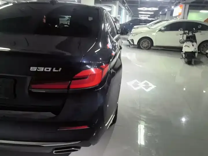 BMW 5 Series 2023 530Li Leading Luxury Suit 8