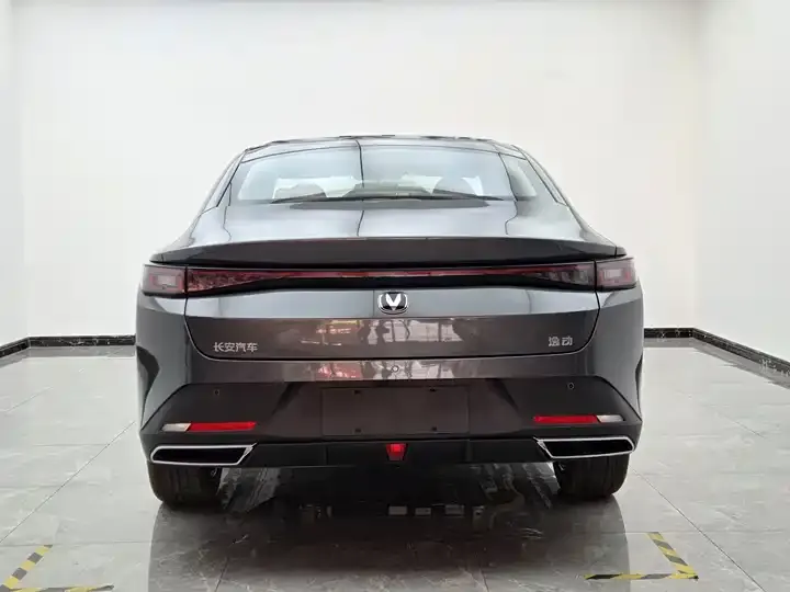 Yidong PHEV 2025 Smart New Blue Whale 145KM Battleship Edition 5