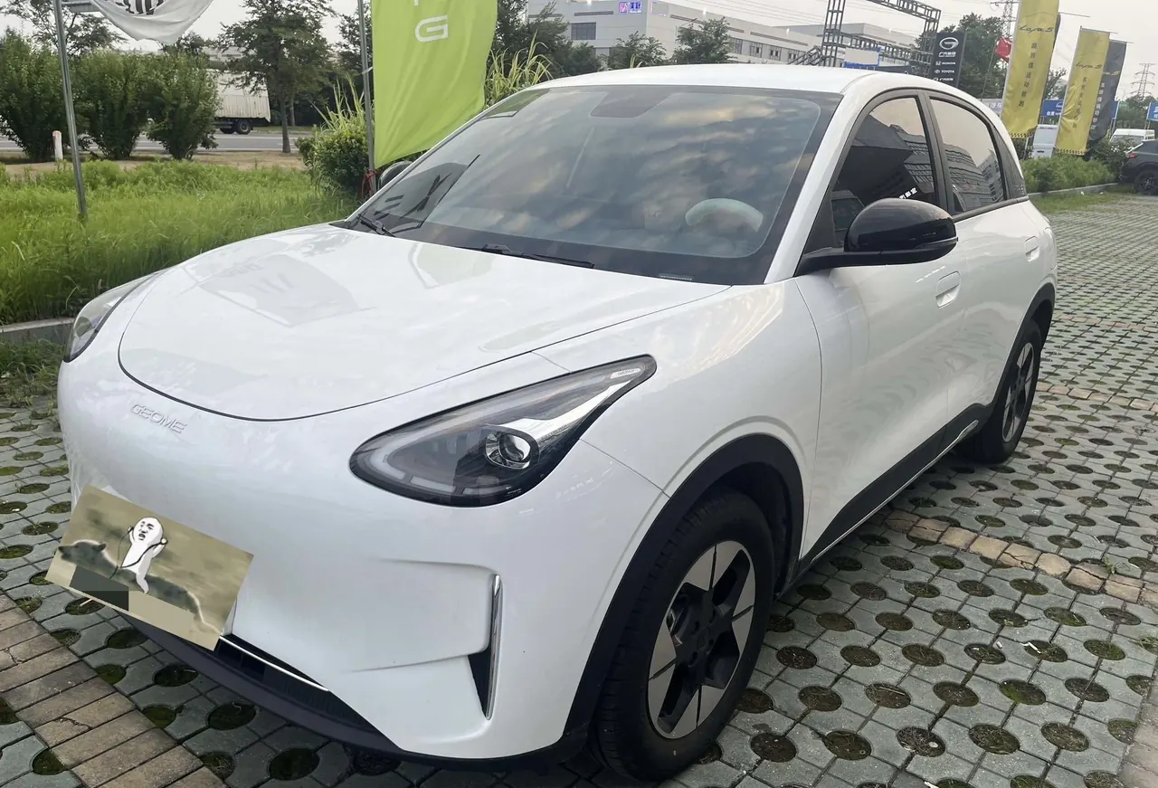 Geely 2026 Star Wish 310km Dream Edition Automatic Gear - View 1