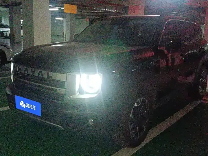 Haval Big Dog 2024 2.0T DCT Chinese Garden Dog Edition - View 1